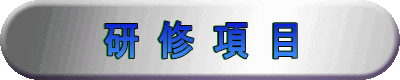 研 修 項 目 