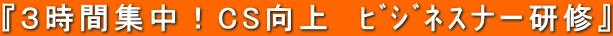 『３時間集中！CS向上  ﾋﾞｼﾞﾈｽナー研修』 